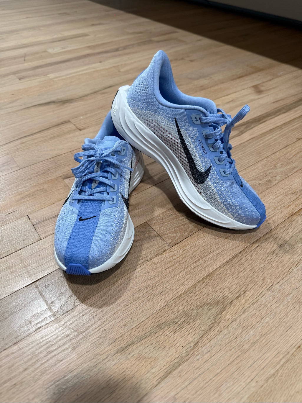 Nike Women's Pegasus Plus